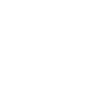 3976